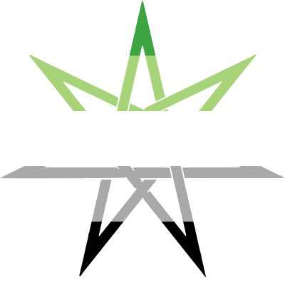 :elvenstar_aromantic: