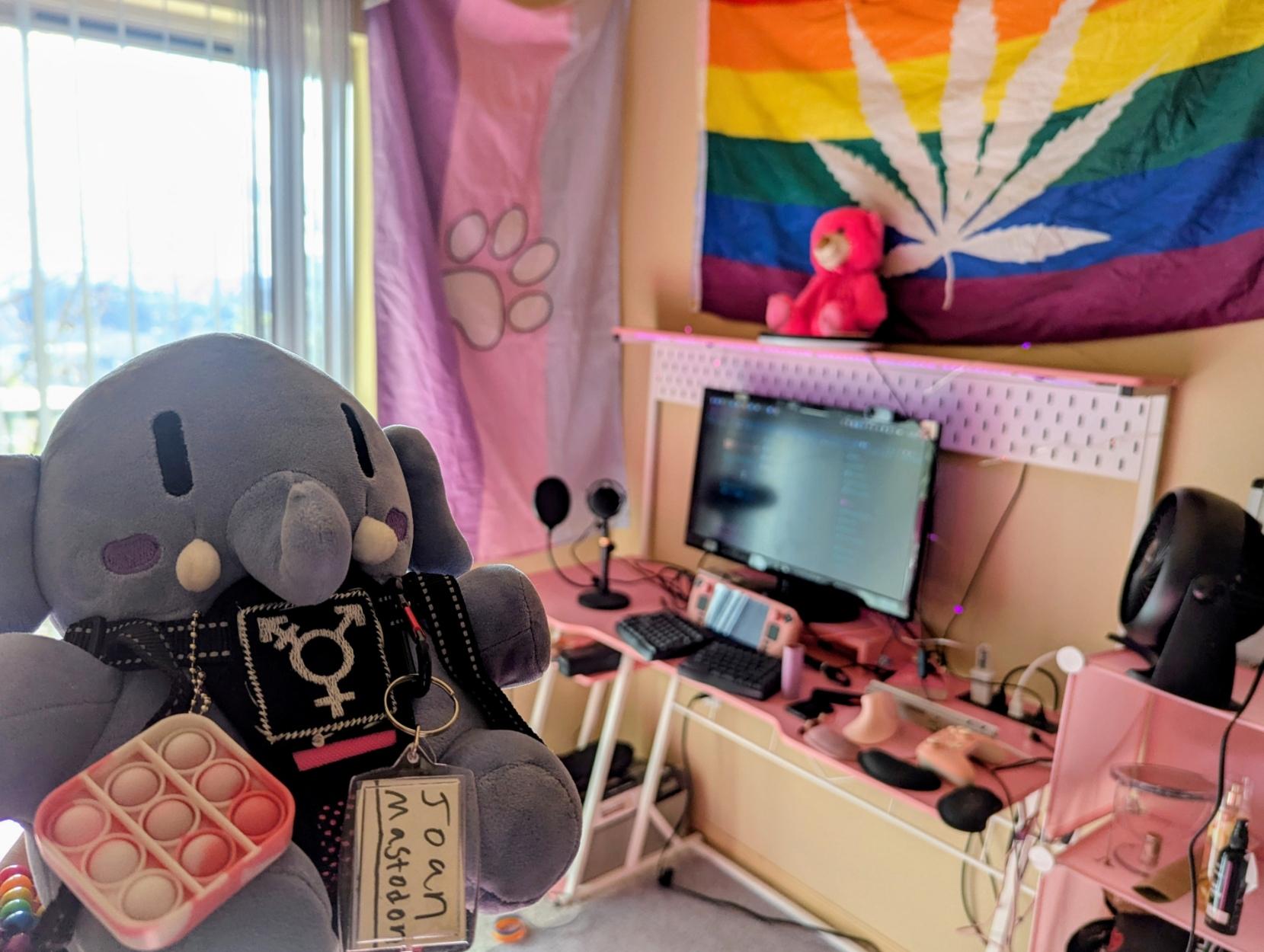 vanta rainbow black's mini blue mastodon plushie Joan Mastodon in her usual trans autism vest in front of vanta's pink desk. there's a rainbow weed flag and kitten flag on the wall. her steamdeck is docked and being used as a pc